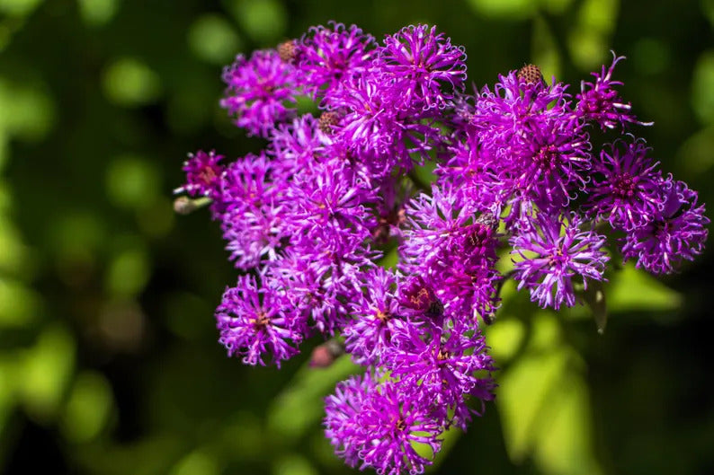 b35c0e55-decb-46d2-8e26-273aabc6029c